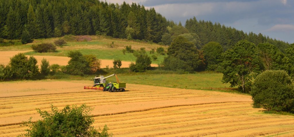 Kombajn i traktor na polu w czasie żniw. pole otoczone lasem